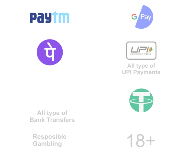 UPI, Paytm, PhonePe, Google Pay, bank transfer and USDT